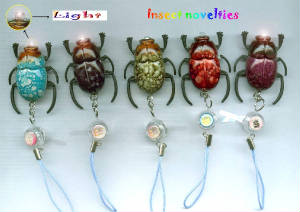 insect.jpg