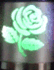 flashingantennarose.gif